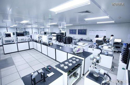 博瑞迪完成2.5亿元B轮融资，专注生物育种技术服务，引领农业科技新浪潮